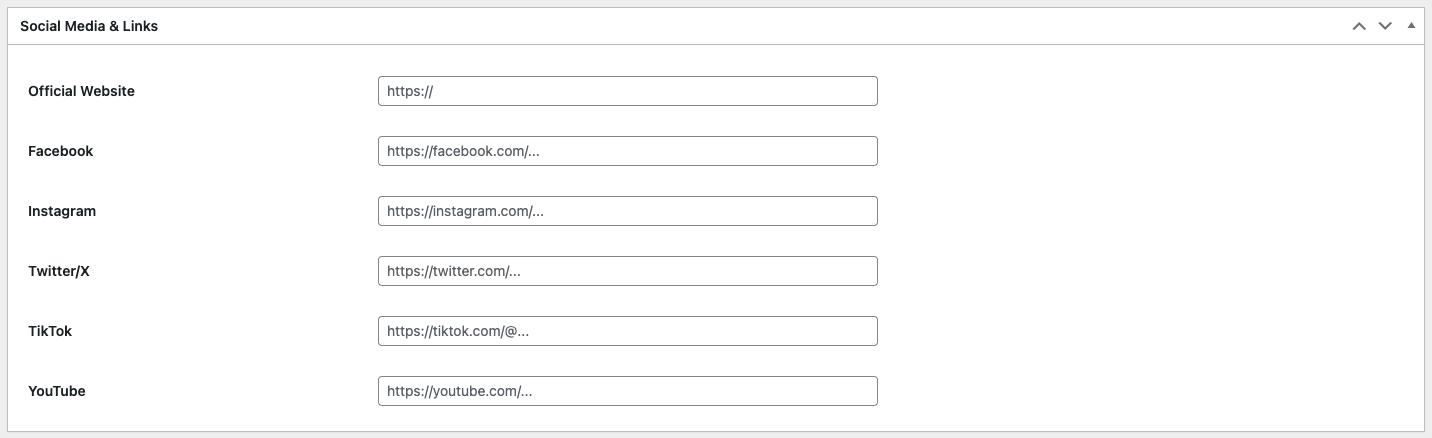 Artist Social Media Metabox